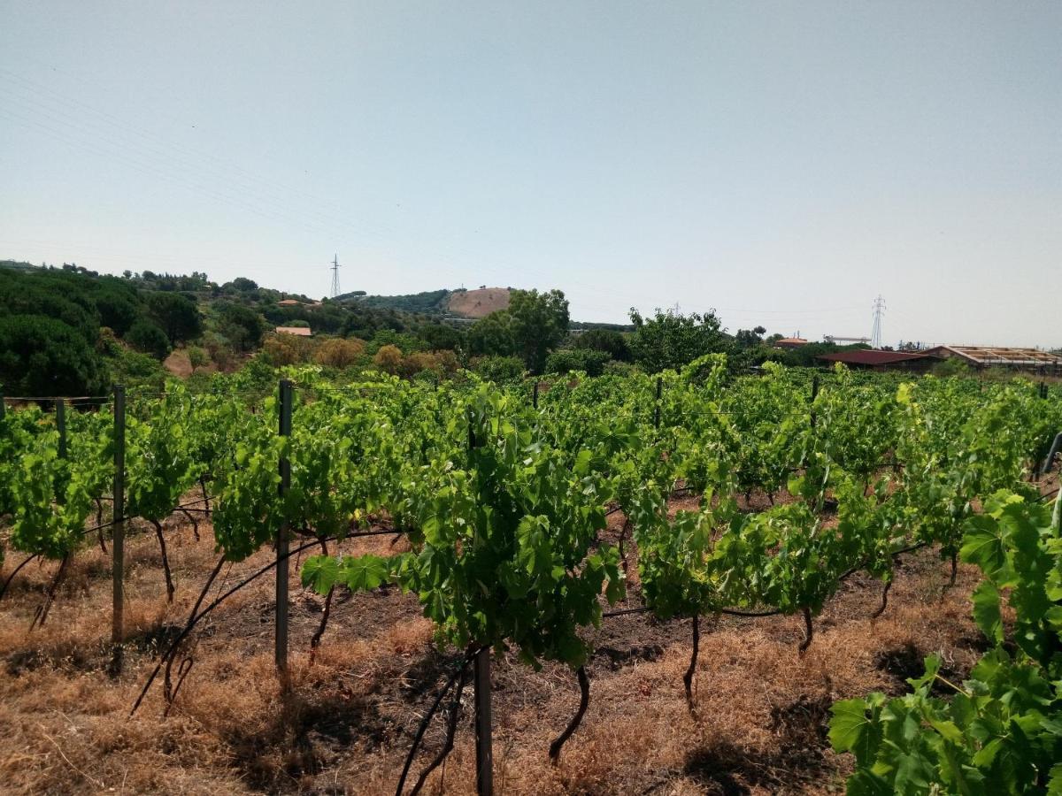 Вилла Etnasentieri Wine House On Etna Mount Бельпассо Экстерьер фото