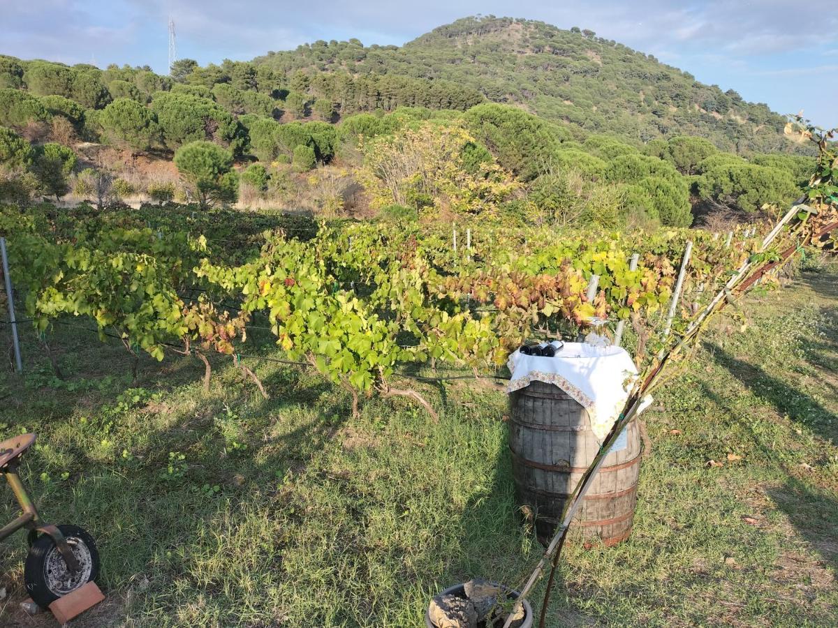 Вилла Etnasentieri Wine House On Etna Mount Бельпассо Экстерьер фото
