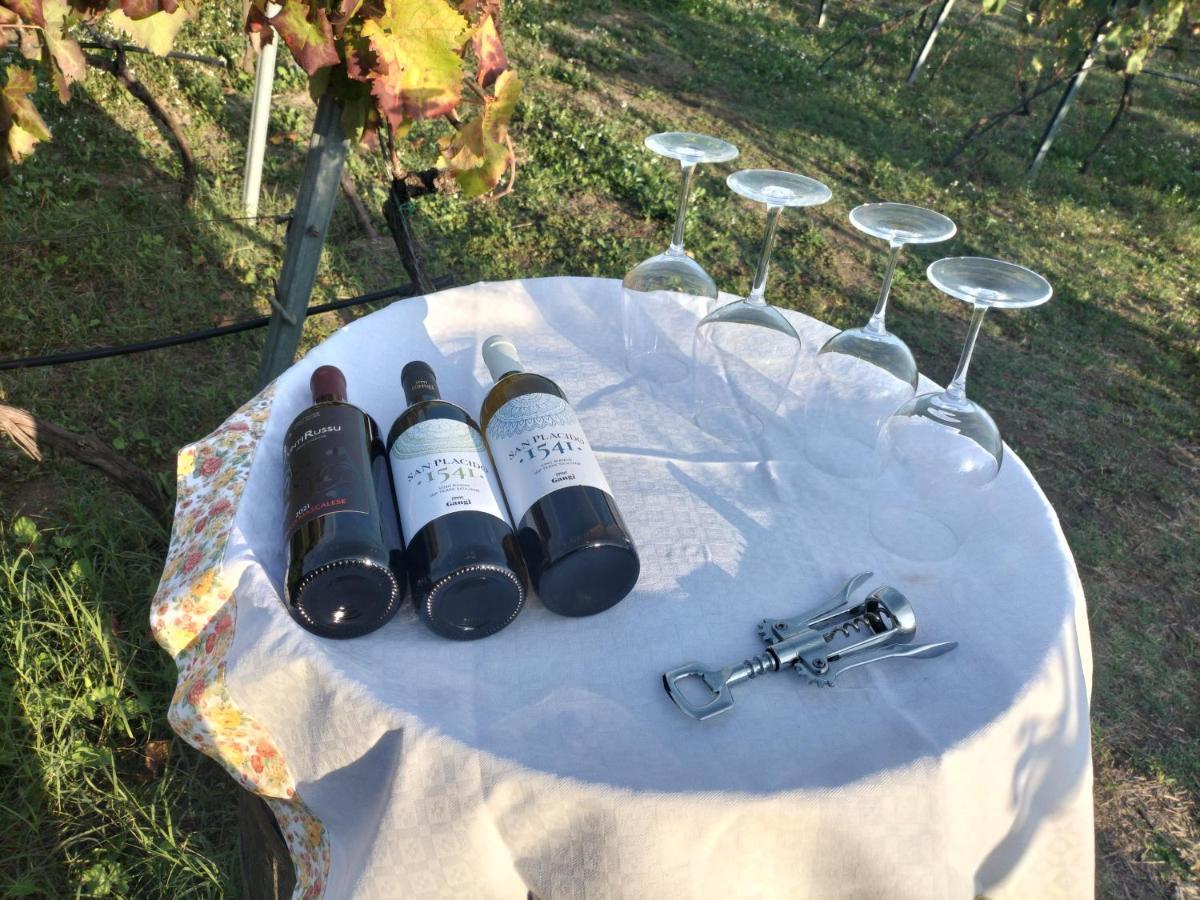 Вилла Etnasentieri Wine House On Etna Mount Бельпассо Экстерьер фото