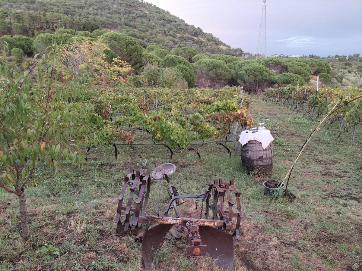 Вилла Etnasentieri Wine House On Etna Mount Бельпассо Экстерьер фото